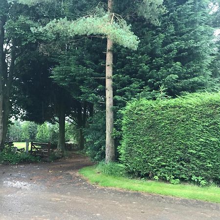The Stables Near Glasgow Balmore Exteriér fotografie
